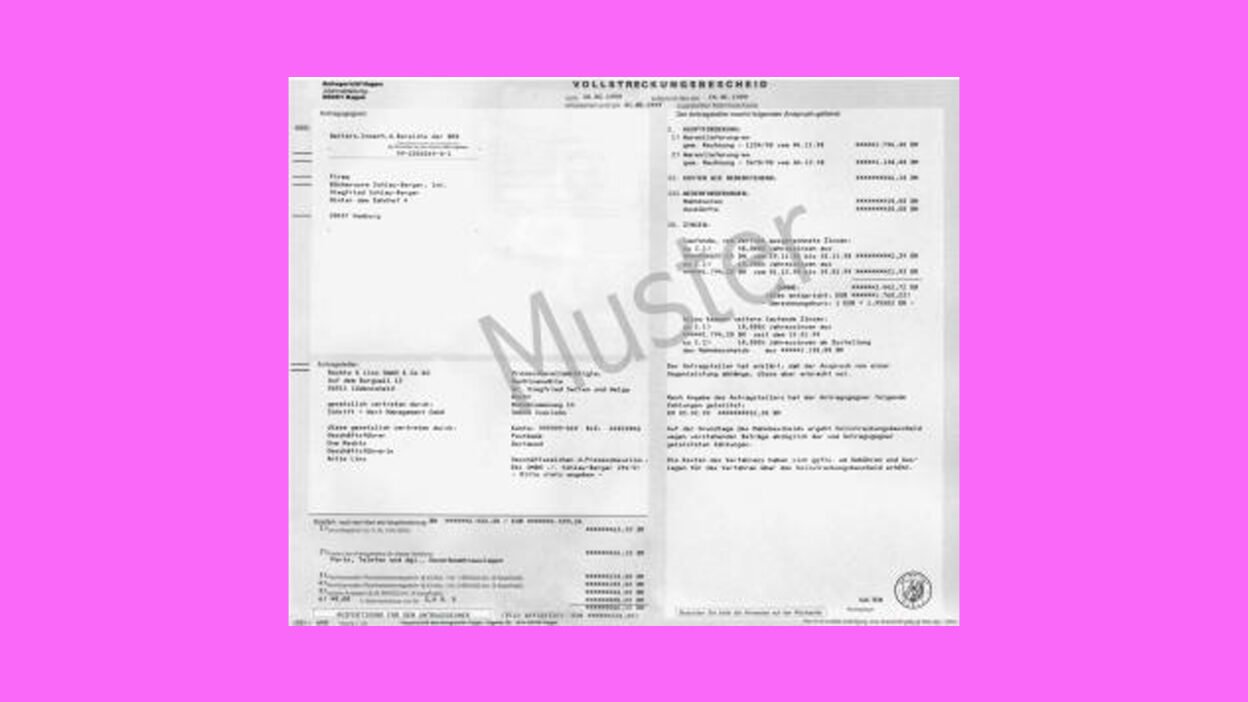 Vollstreckungsbescheid